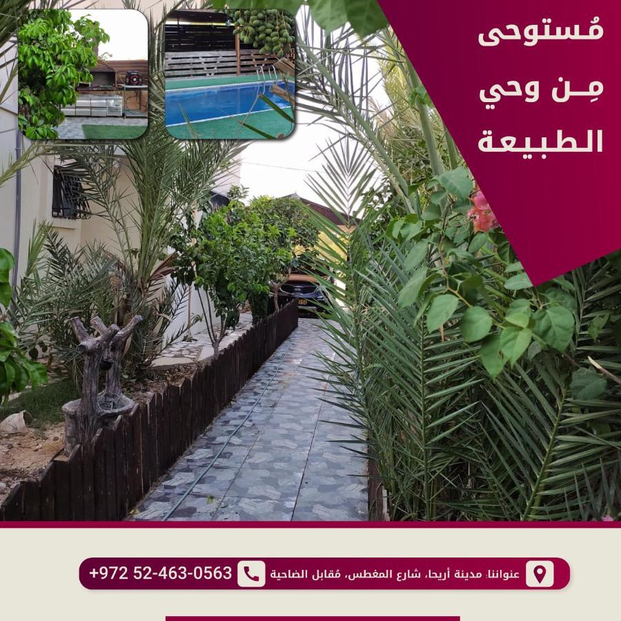 فندق مغطس أريحا المظهر الخارجي الصورة